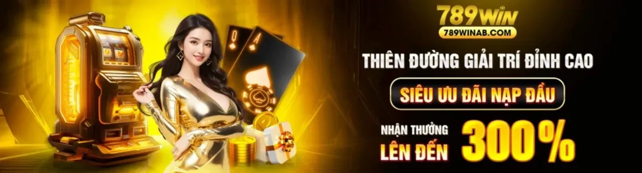 Giới thiệu điều khoản dịch vụ 13win bet