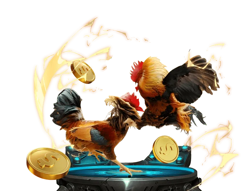 Hình ảnh đại diện Điều Khoản và Điều Kiện của 13win bet